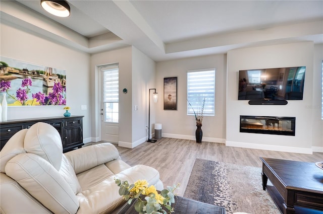 living room featuring light hardwood / wood-style flooring and a raised ceiling