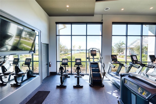 workout area featuring a healthy amount of sunlight