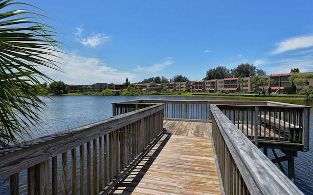 dock area with a water view