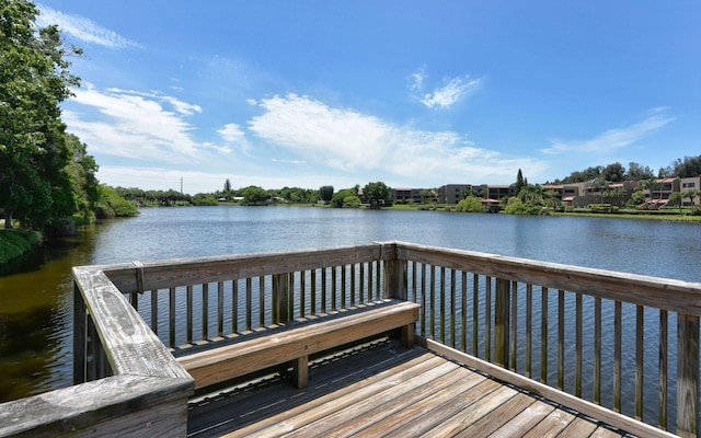 dock area with a water view