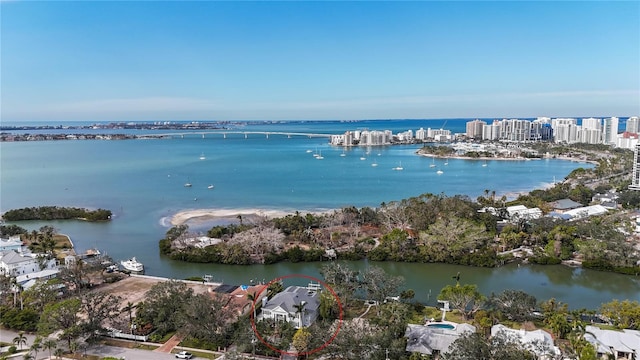 aerial view with a water view