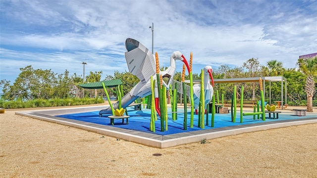 view of jungle gym