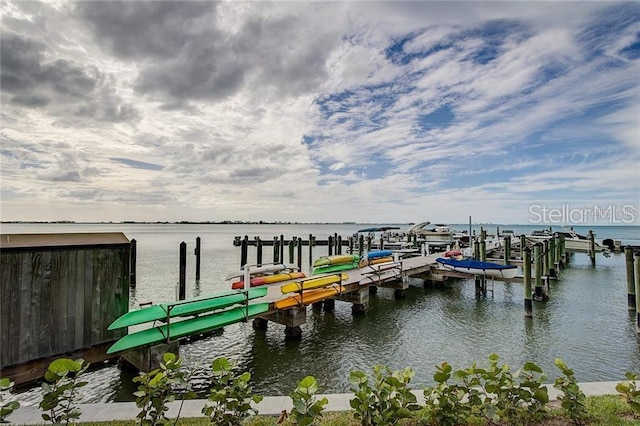 dock area with a water view