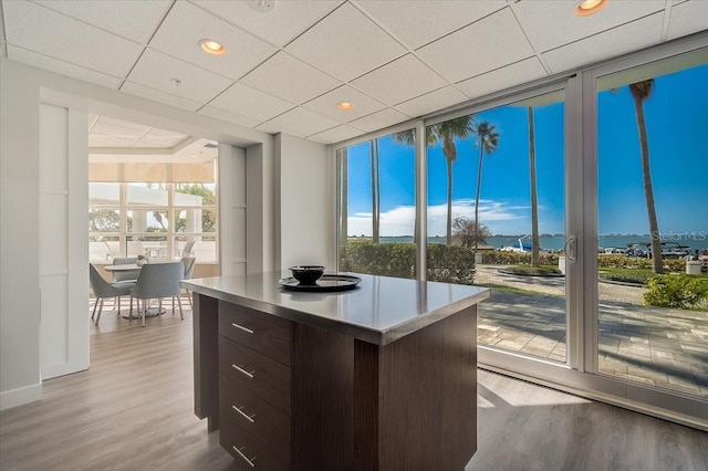 kitchen featuring a wealth of natural light, dark brown cabinets, light hardwood / wood-style flooring, and a wall of windows