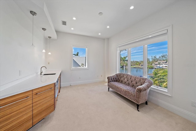 living area with sink, light carpet, and a water view