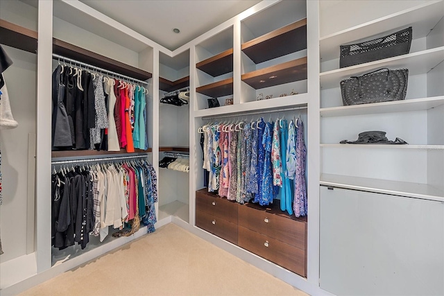 spacious closet featuring carpet