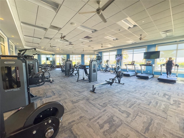 gym with ceiling fan, a drop ceiling, and carpet flooring