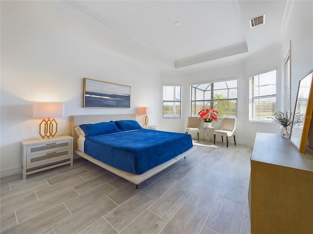 bedroom featuring a raised ceiling