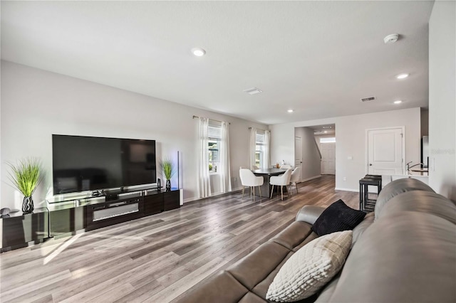 living room featuring wood-type flooring