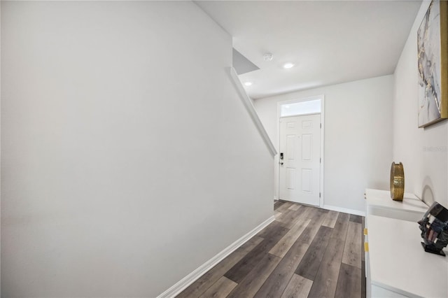 entrance foyer featuring wood-type flooring