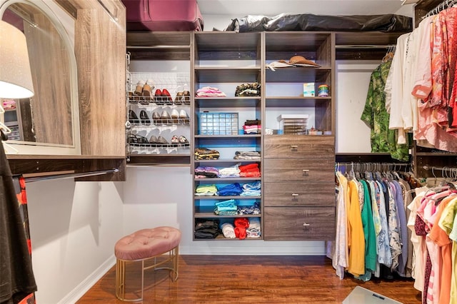 spacious closet with dark wood-type flooring