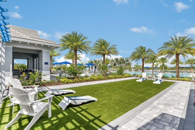 view of yard featuring a patio area