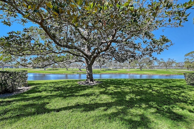 view of water feature