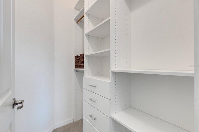 spacious closet featuring carpet flooring