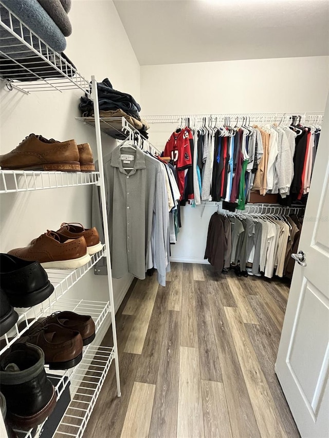 spacious closet with wood-type flooring