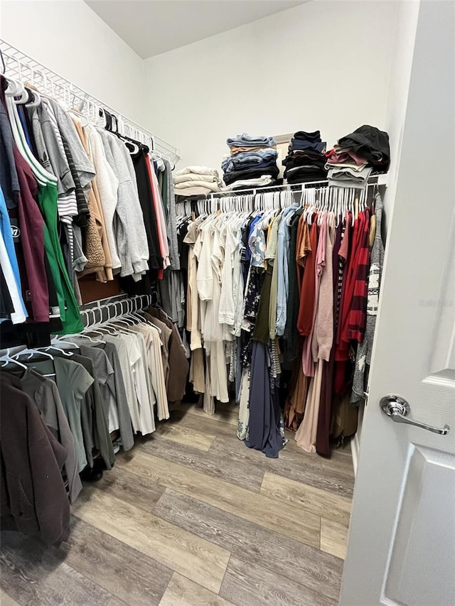 spacious closet with hardwood / wood-style floors