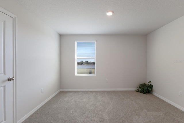 empty room with carpet floors and a textured ceiling