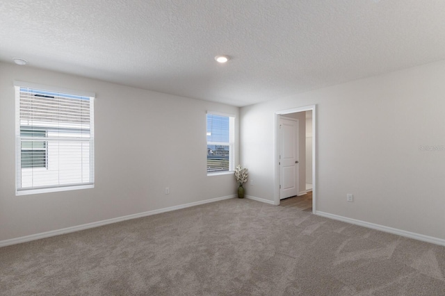 carpeted empty room featuring plenty of natural light and a textured ceiling