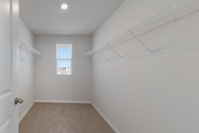 walk in closet featuring carpet