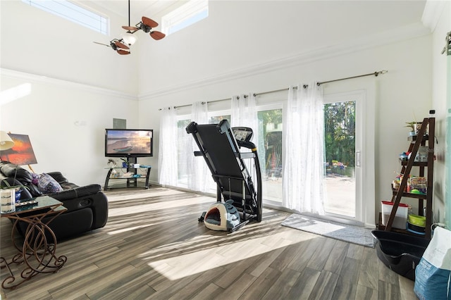 workout room with hardwood / wood-style flooring, ceiling fan, and a healthy amount of sunlight