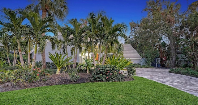 view of property hidden behind natural elements with a front yard