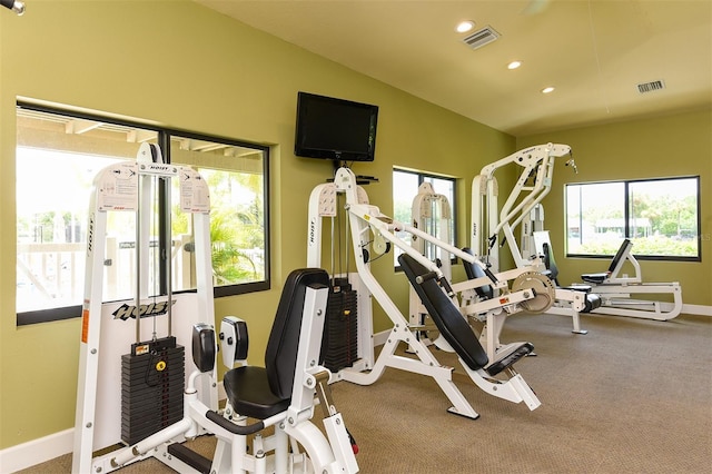 exercise room with lofted ceiling and a wealth of natural light