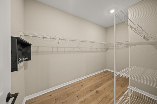 spacious closet featuring hardwood / wood-style floors