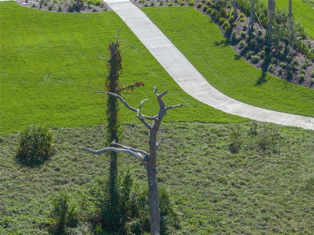 view of property's community featuring a yard