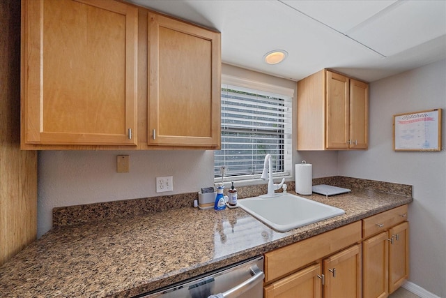 kitchen featuring sink, stainless steel dishwasher, and light brown cabinets