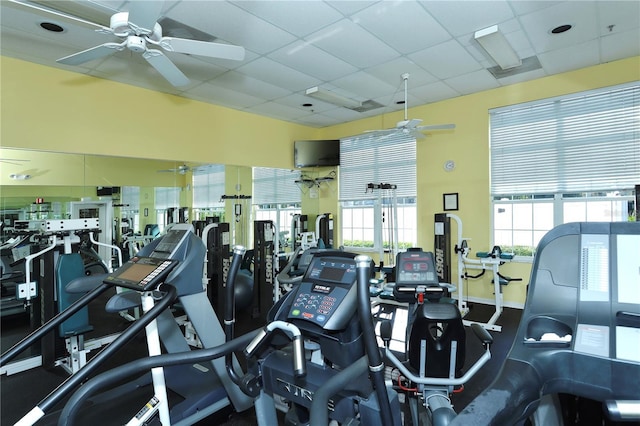 exercise room with ceiling fan and a drop ceiling