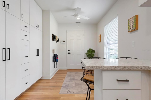 interior space featuring ceiling fan and light hardwood / wood-style flooring