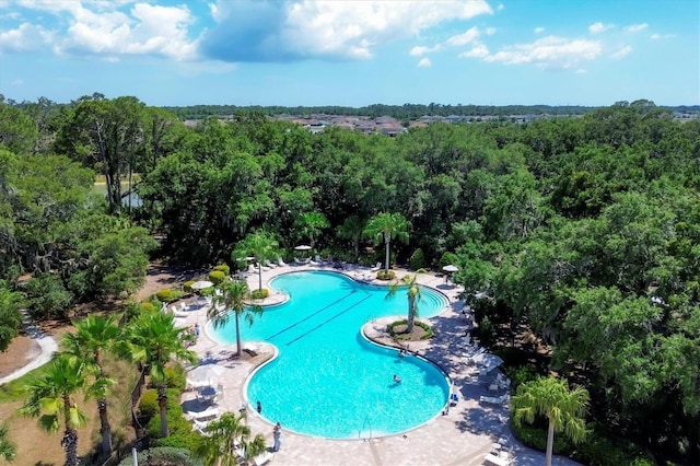 view of pool with a patio area