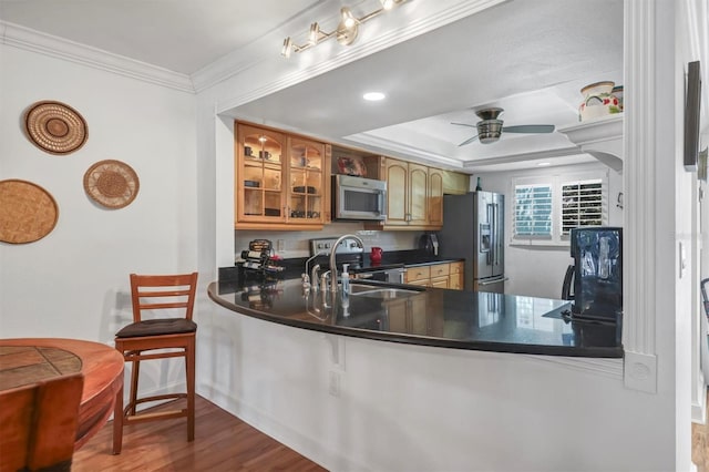 kitchen featuring stainless steel appliances, a tray ceiling, ceiling fan, crown molding, and hardwood / wood-style floors