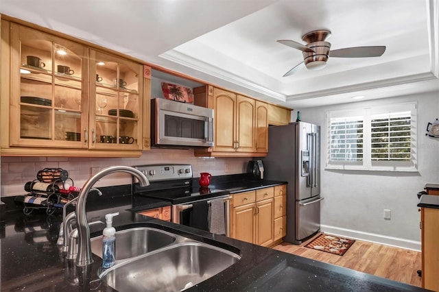 kitchen with sink, a tray ceiling, tasteful backsplash, light hardwood / wood-style floors, and stainless steel appliances