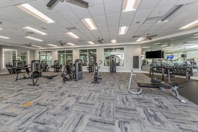 gym featuring a paneled ceiling, carpet floors, and a healthy amount of sunlight