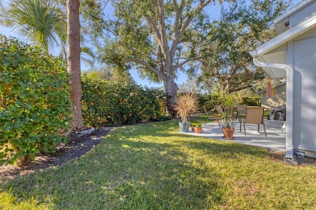 view of yard with a patio