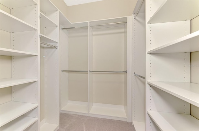 spacious closet featuring carpet flooring