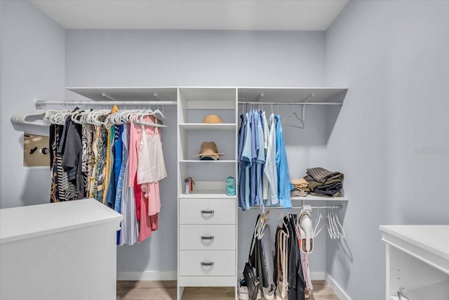 walk in closet with hardwood / wood-style flooring