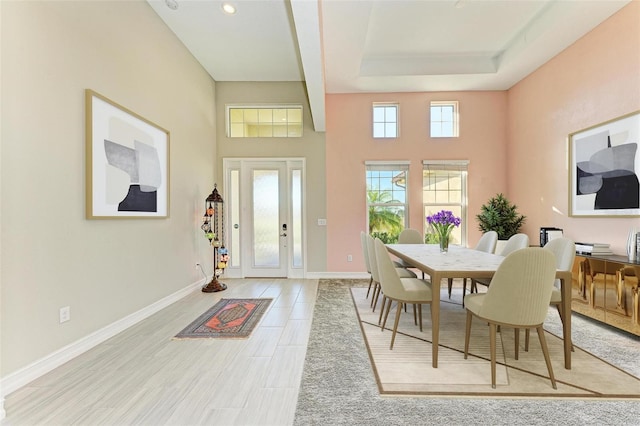 dining room featuring a tray ceiling and plenty of natural light