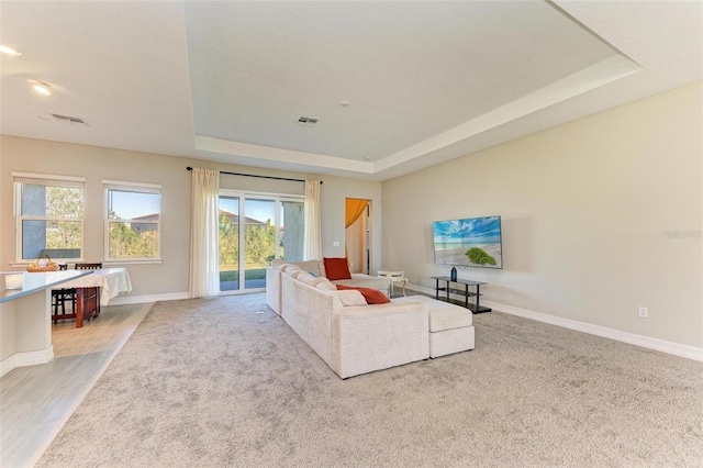 living room featuring a raised ceiling