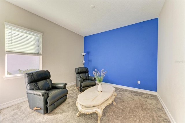 sitting room with carpet