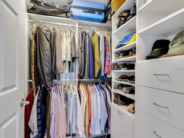 view of spacious closet