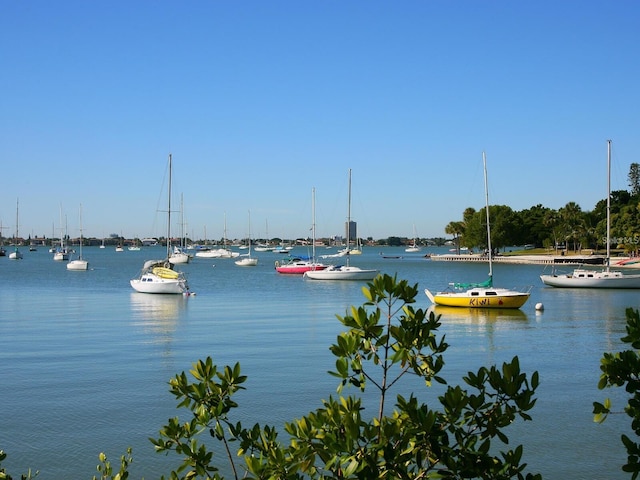 property view of water