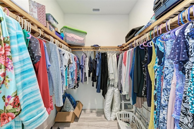 walk in closet with hardwood / wood-style flooring