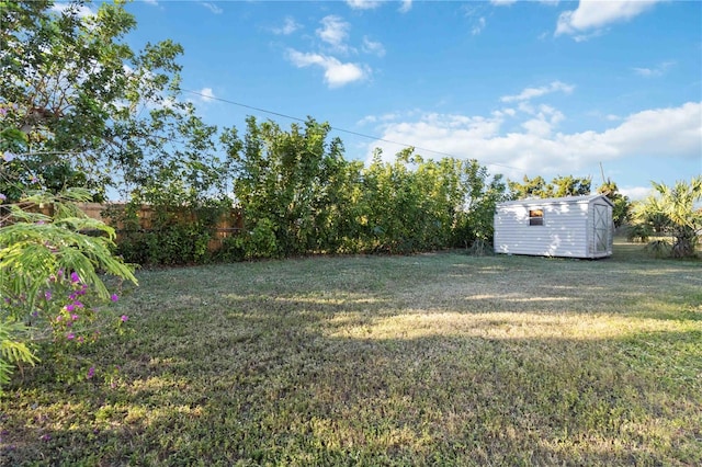 view of yard featuring a shed