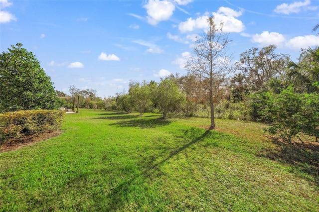 5213 Asher Ct, Sarasota, FL 34232 - photo 39