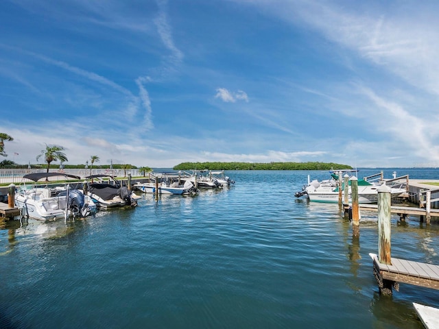 dock area with a water view