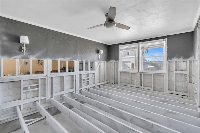 interior space with ceiling fan and ornamental molding