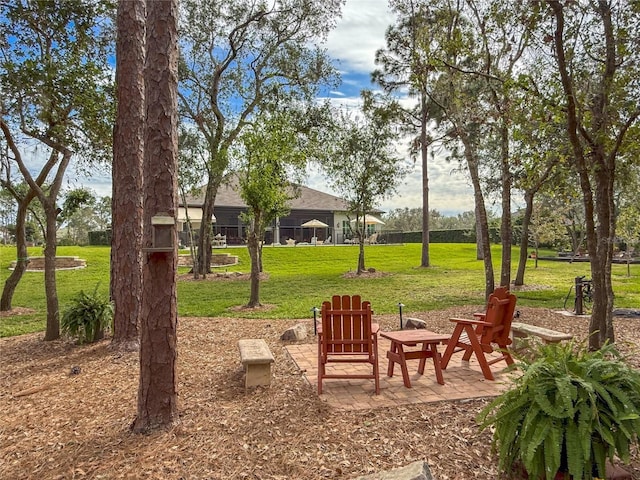 view of yard featuring a patio