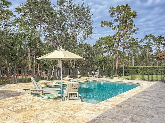 view of pool featuring a patio area